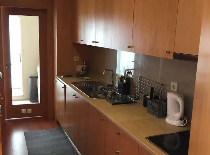 Terraços De Seixas Apartamento *